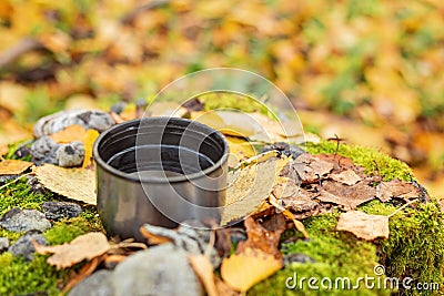 Cup of tea on yellow foliage. Thermos. Walk in the autumn forest Stock Photo