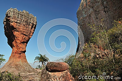 Cup - vila velha Stock Photo