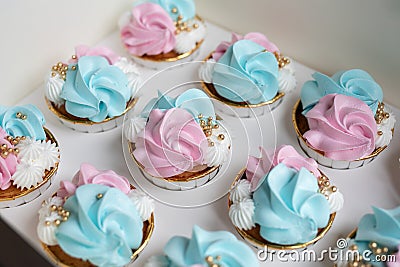 Cupcake blue and pink for gender party. boy or girl. delicious cupcakes with blue and pink cream, golden sparkles Stock Photo