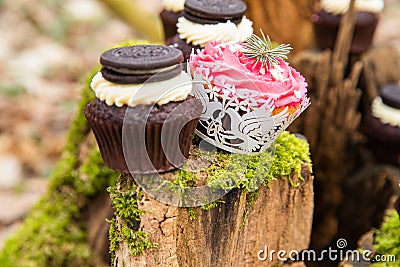 Cupcake cakes in the middle of forest on a moss dark cream with a biscuit and pink black cakes for a wedding ceremony Stock Photo