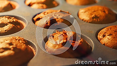 cupcake Cocendo in forno Metraggio di lasso di tempo di cottura dei muffin 4k, UHD video d archivio cupcake Cocendo in forno Metraggio di lasso di tempo di cottura dei muffin 4k, UHD video d archivio