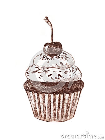 Cupcake with cream, chocolate chips and cherries, hand-drawn Cartoon Illustration