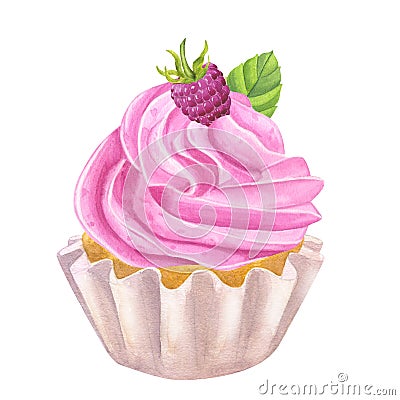 Cupcake muffin pink sweet whipped cream. Raspberry, mint. Food clipart. Hand drawn watercolor illustration isolated on Cartoon Illustration