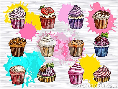 Cupcakes vector set isolated. Colorful cakes collection. Vector Illustration