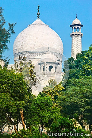 Cupola of Taj Mahal Stock Photo