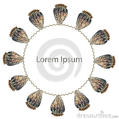 Cupola watercolour circle background Lorem Ipsum on white stock vector illustration Vector Illustration