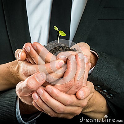 Cupped hands united to protect a green sprout Stock Photo