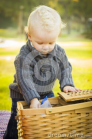 Curious Blonde Baby Boy Opening Picnic Basket Outdoors at the Park Stock Photo