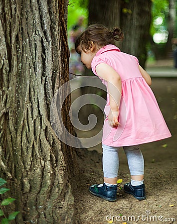 Curious child looking for bugs Stock Photo