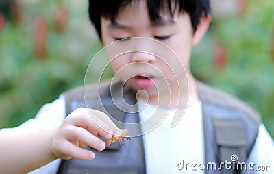 Curious little young Asian boy looking at cicada molt on his hand in the garden. Exploring the world, outdoors activity Stock Photo