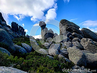 Curious stones with dinosaurs head shape during a hike Editorial Stock Photo