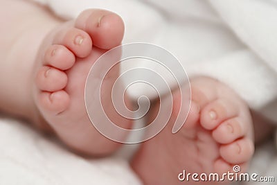 Curled Baby Toes Stock Photo