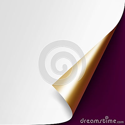 Curled Golden corner White paper with shadow on Vinous Background Vector Illustration