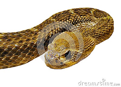 Curled viper Stock Photo