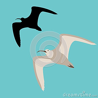 Curlew vector illustration flat style black silhouette Vector Illustration