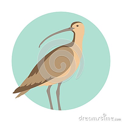 Curlew bird vector illustration flat style profile Vector Illustration