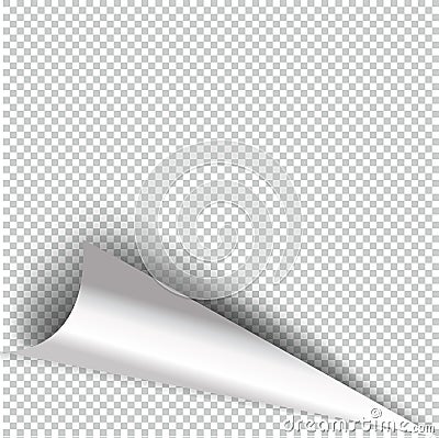 Curly Page Corner realistic illustration with transparent shadow Vector Illustration