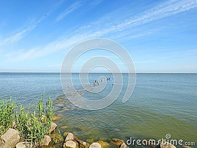 Curonian spit and birds , Lithuania Stock Photo