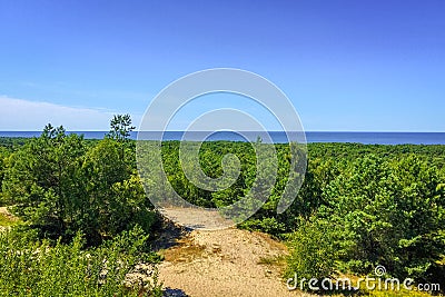 Forest landscape near Muller Height at the Curonian Spit Stock Photo