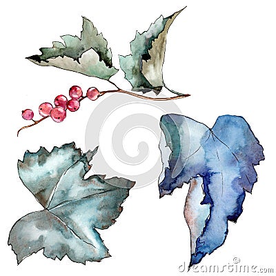 Currant leaves in a watercolor style isolated. Stock Photo