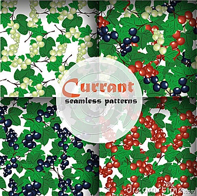 Currant seamless pattern collection vector set Vector Illustration