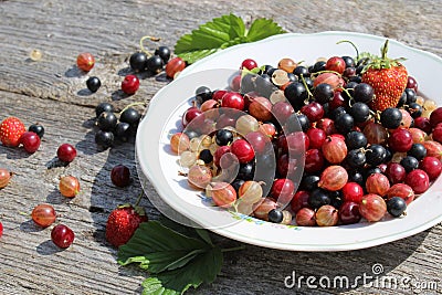 Fresh berries of white, black, currant, cherry, gooseberry and strawberry are on the plate and scattered around it. Stock Photo