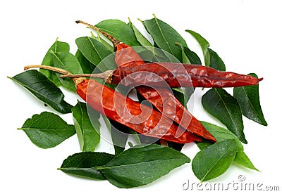Curry leaves and dry red chilies Stock Photo