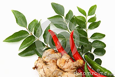 Curry leaves,ginger and red chillies Stock Photo