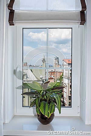 Curtain interior decoration in living room. Window sill with flower pot, view of the city Editorial Stock Photo