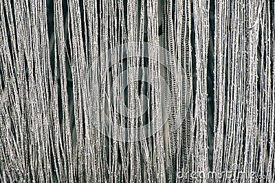Curtain of shiny metallic silver chains. Texture Stock Photo