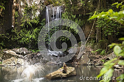 Curtis Falls Waterfall in Mount Tambourine Stock Photo
