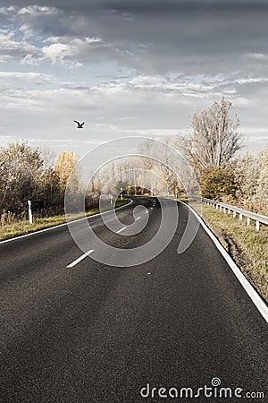 Road in autumn Stock Photo