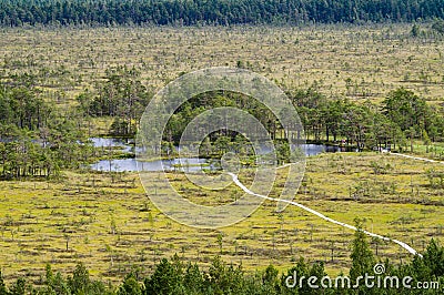 Curve hiking trails of Tolkuse bog, Estonia Stock Photo