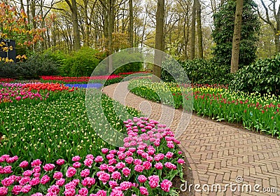 Curve of path in garden Stock Photo