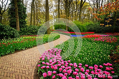 Curve of path in garden Stock Photo