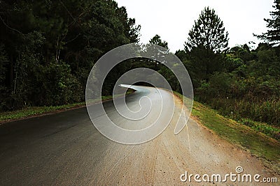 Curve of a road in the middle of a forest Stock Photo