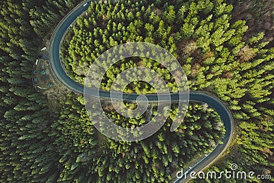 Curved aerial road from a drone. Forest asphalt road in the mountains near pine and spruce Stock Photo