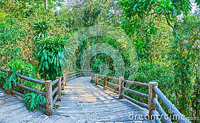 Curved alley in lush forest, Mae Fah Luang garden, Doi Tung, Thailand Stock Photo