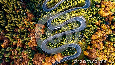 Curved asphalt road in European mountains, beautiful autumn scenery with colourful leaves Stock Photo