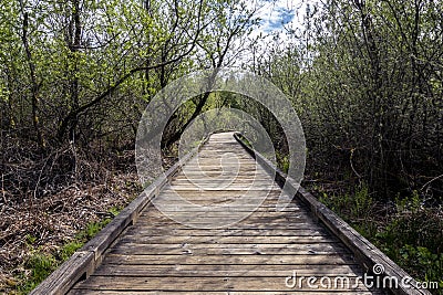 Curved boardwalk in a marshland on a cloudy, overcast day in the pacific northwest Stock Photo