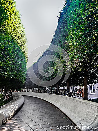 curved hedges in fancy garden Stock Photo