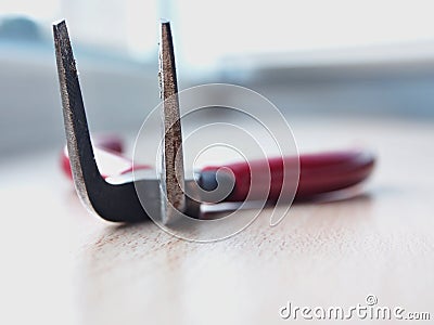 Curved Pliers Stock Photo