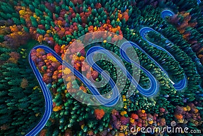 Curved road trough the colorful autumn forest Stock Photo