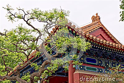 Curved roofs in traditional Chinese style with figures and colorful patterns. in front of the building is a curved tree Stock Photo