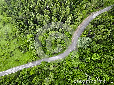 Curving road leading trough beautiful pine forest landscape. Aerial shoot Stock Photo