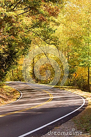 Curving highway through forest Stock Photo