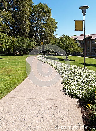 Curving sidewalk on a college campus Stock Photo