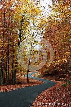Curvy autumn road Stock Photo