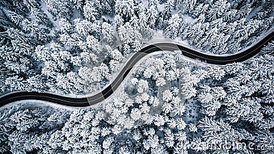 Curvy windy road in snow covered forest, top down aerial view Stock Photo