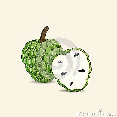 Custard Apple Illustration Vector Illustration